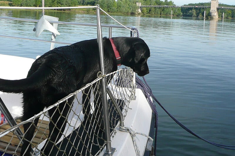 Hausboot mit Hund - Urlaub mit Hund auf einem Hausboot