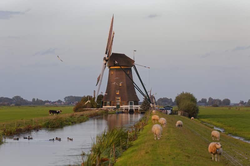 En route pour les canaux hollandais au départ d'Alphen aan den Rijn