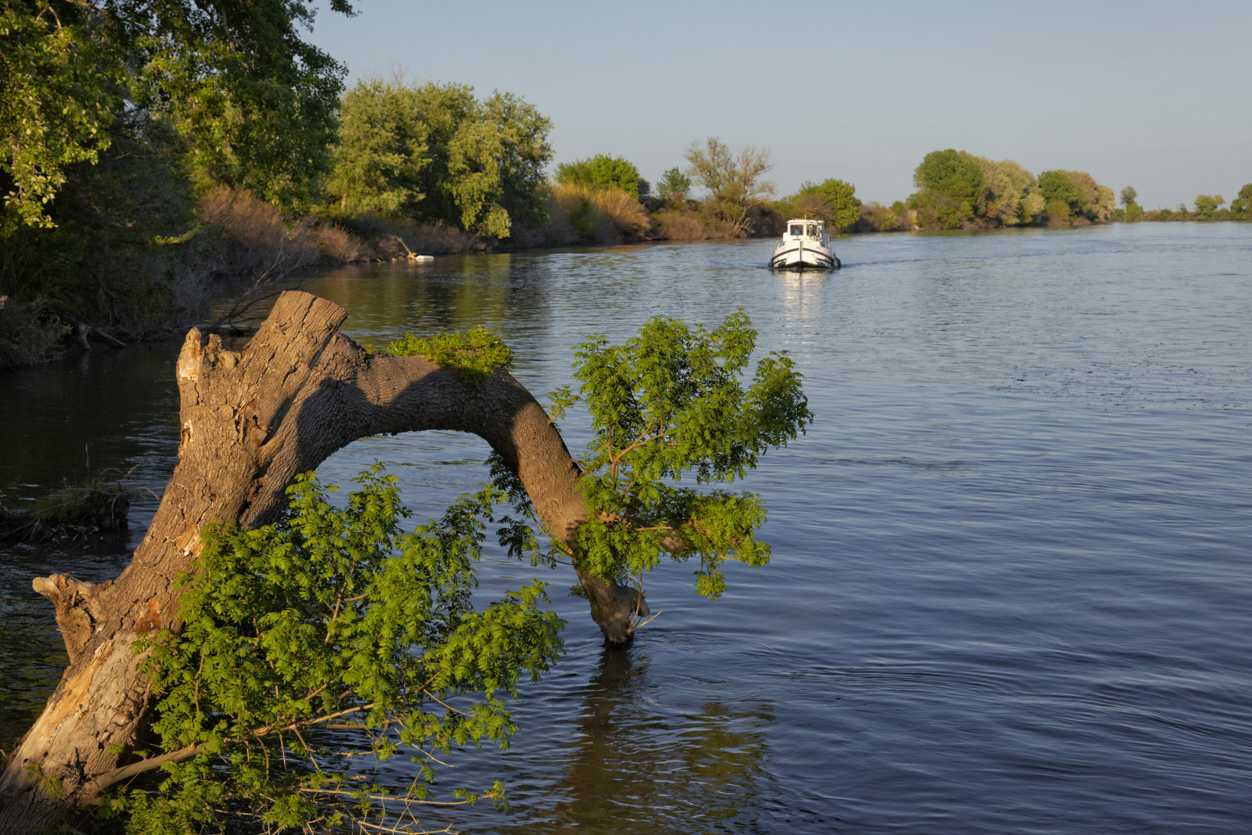 Hausbooturlaub in der Camargue