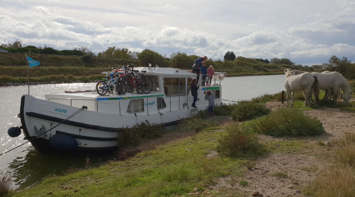 Croisière fluviale camargue