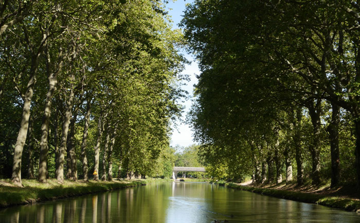 Qui a construit le canal du Midi ?