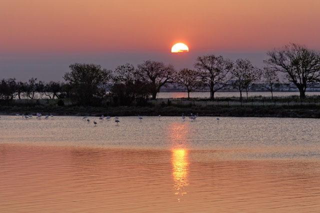 Wind your way through the Canal du Midi to the Mediterranean Etang de Thau