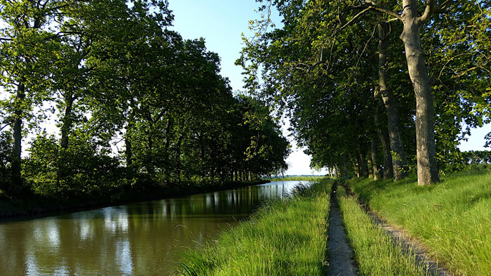 How many locks are on the Canal du Midi?