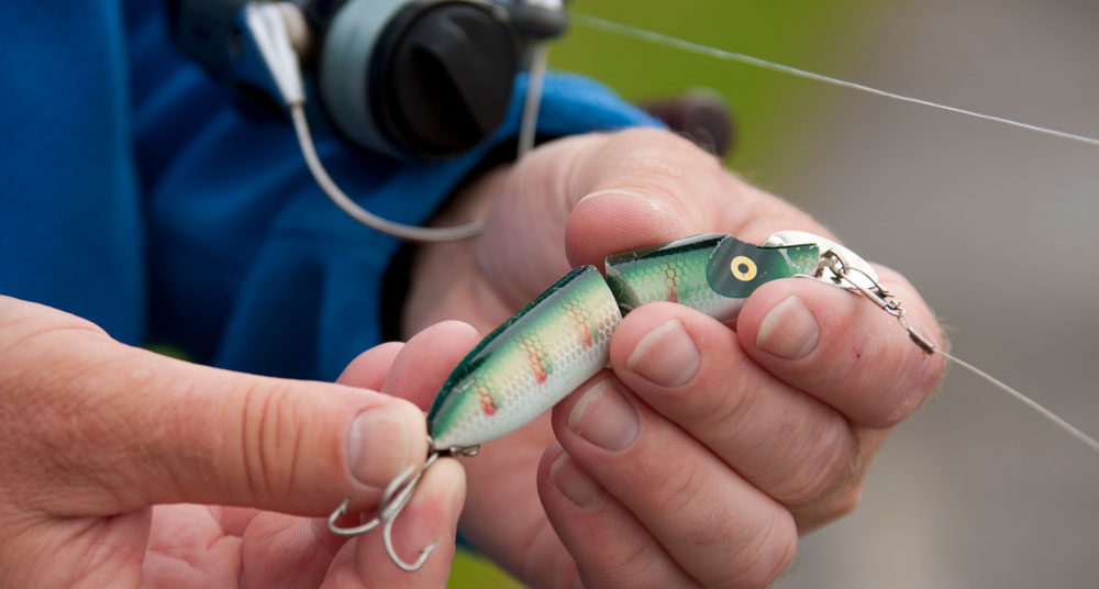 Which are the best canal fishing spots ?