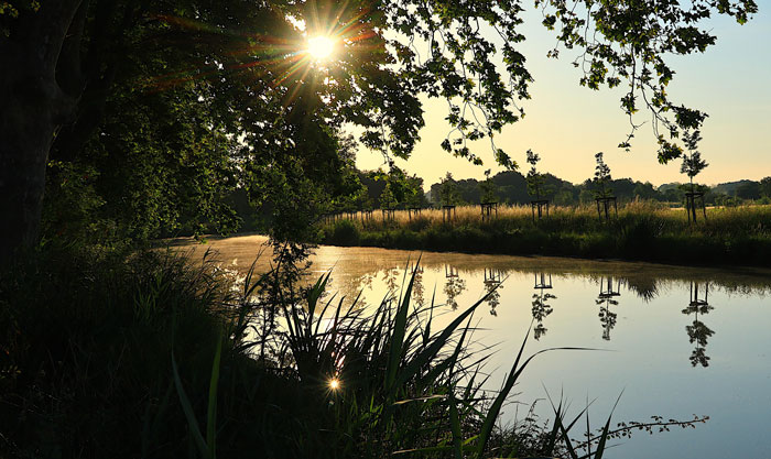 Discover the magic of the Fonseranes locks