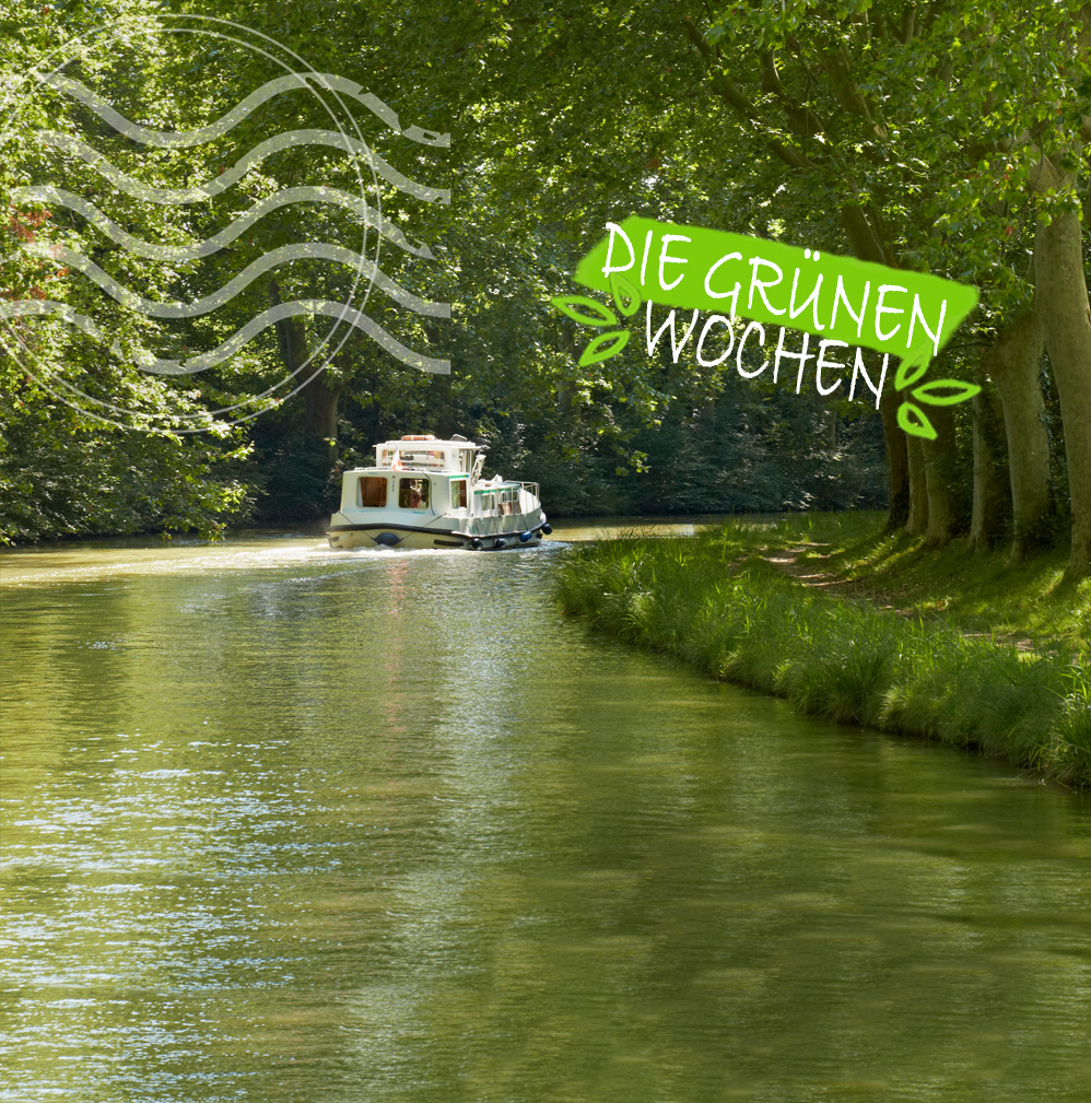 Die grünen Wochen – Für mehr Platanen am Canal du Midi