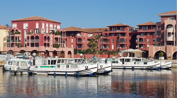 Que découvrir en Camargue en partant du port de Lattes?