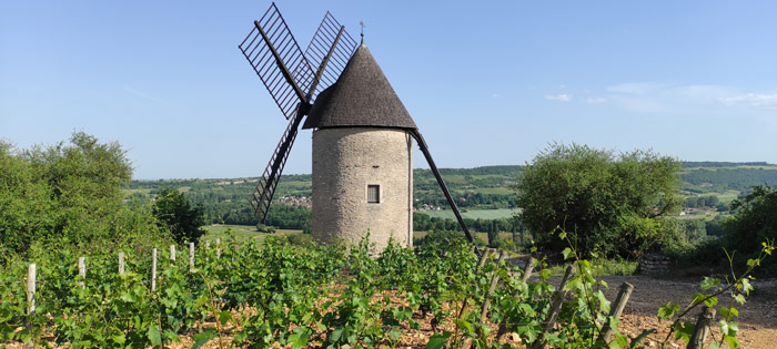 Das Hausboot und die Umgebung: Santenay