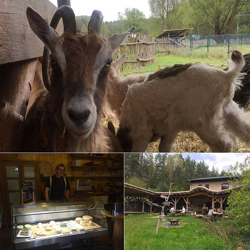 Alentours de l'écluse de Regow dans le Mecklembourg