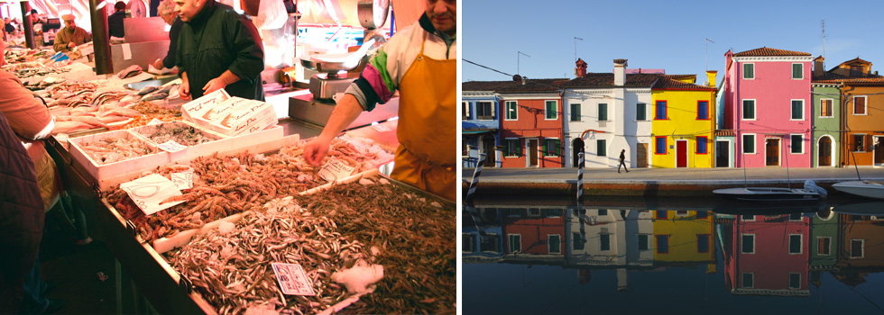 Fische aus der Lagune am Fischmarkt in Chioggia | Bunte Häuser in Burano